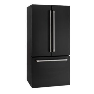 General Electric IO Mabe French Door Kühlschrank IWO19JSPF 8BM