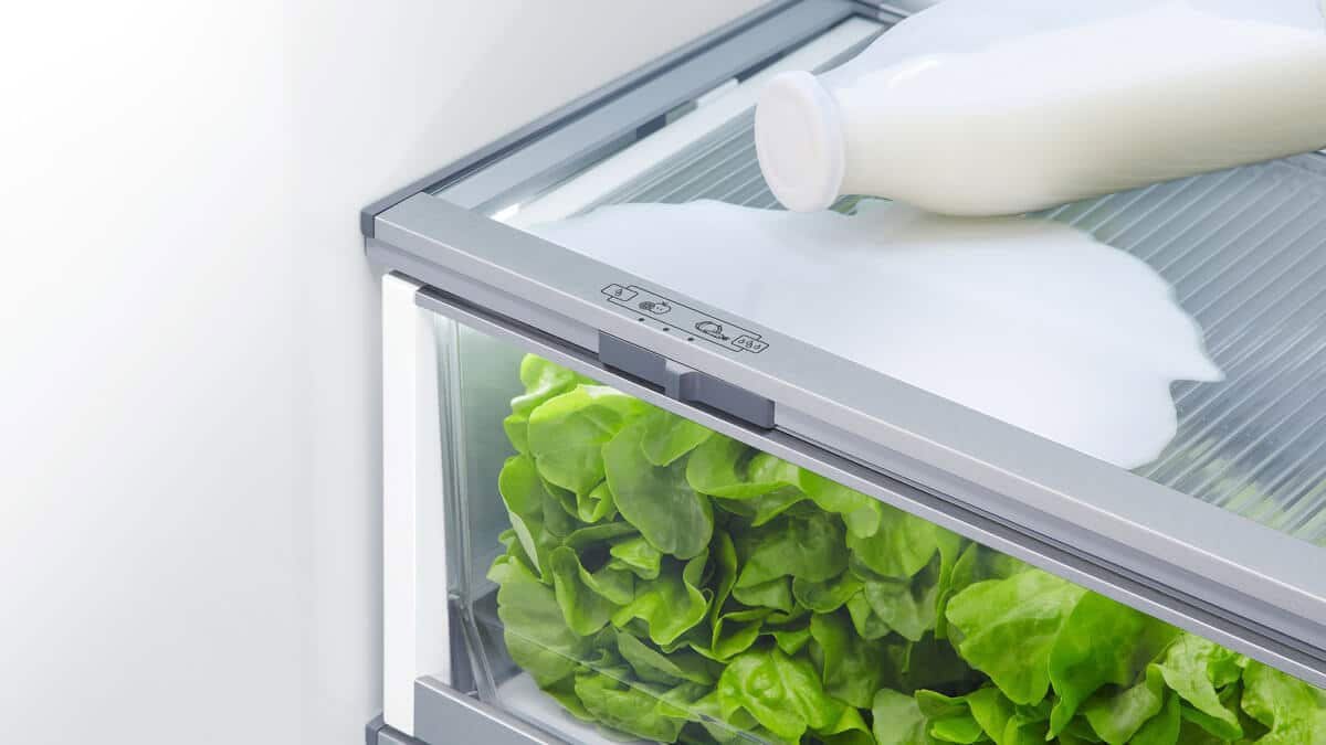 Fisher & Paykel Amerikanischer Kühlschrank RSD90A - Image 5